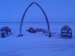 IMG00675-20101111-1455_2