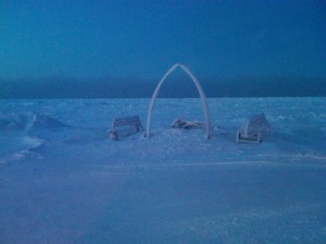 IMG00749-20110101-1427