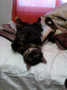 IMG00843-20110302-1321