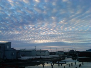 IMG00987-20110522-0216