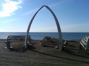 IMG01204-20110714-1919