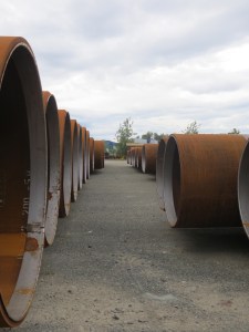 Irrelevant Image! ...or is it?