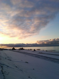 Landing a Whale in the Fall