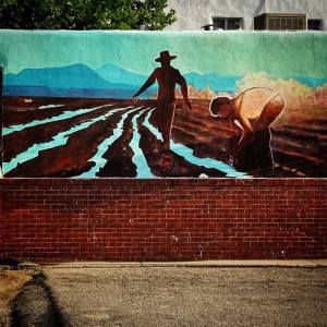 22426453_10214539482825886_622094195494757406_o