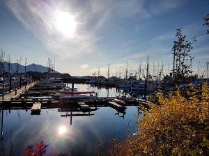 23154906_10214694818949192_3124333924529284067_o