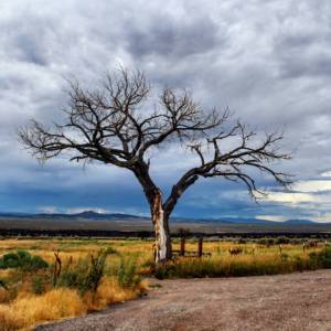 26907655_10215389345631925_8037646231883862717_n