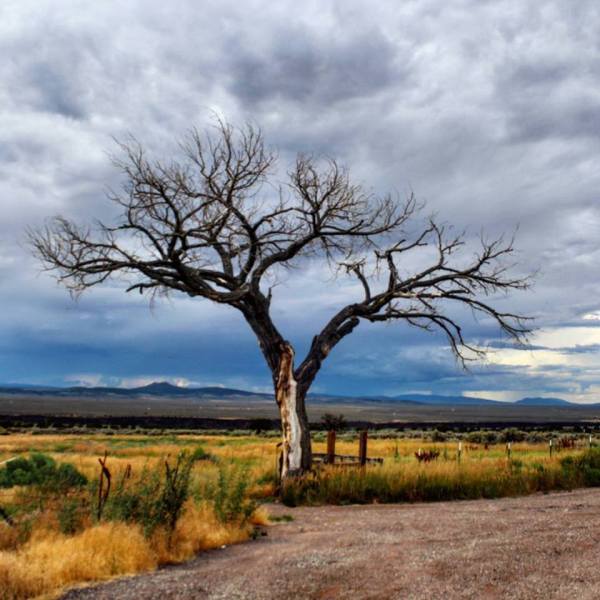 26907655_10215389345631925_8037646231883862717_n