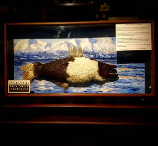 North Pacific Fur Fish