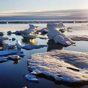 36868123_10216821637638330_8479229804195872768_n