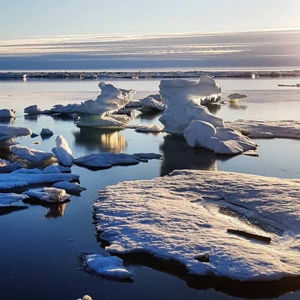 36868123_10216821637638330_8479229804195872768_n